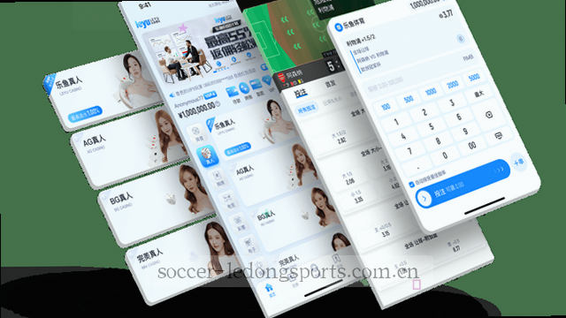处理流程全览，高效协作